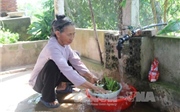 Xuất hiện hến trong bể nước sạch ở Ninh Bình: Công bố kết quả kiểm nghiệm mẫu nước Xuất hiện hến trong bể nước sạch ở Ninh Bình: Công bố kết quả kiểm nghiệm mẫu nước