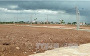 Giá đất nền nhiều nơi tăng 'chóng mặt', Bộ Xây dựng tìm giải pháp kiềm chế Giá đất nền nhiều nơi tăng 'chóng mặt', Bộ Xây dựng tìm giải pháp kiềm chế